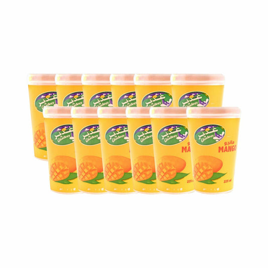 Ghadeer Mango Juice 225ml x12