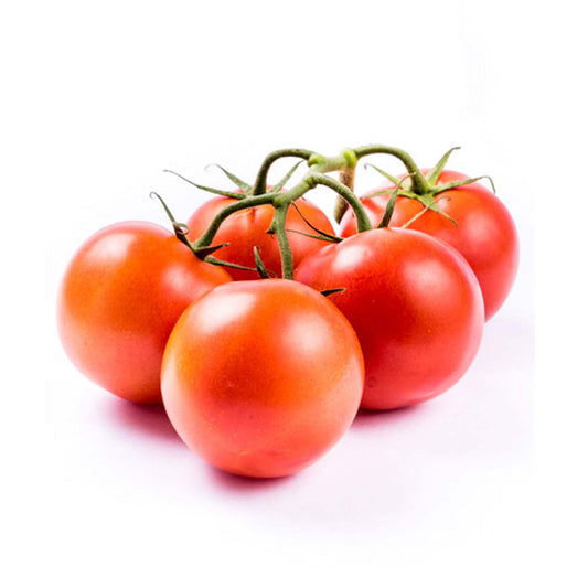 الطماطم بانش المحلية